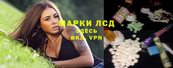 прущие грибы Красноперекопск