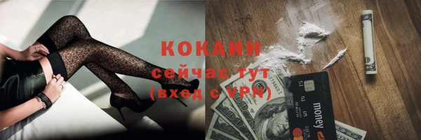прущие грибы Красноперекопск
