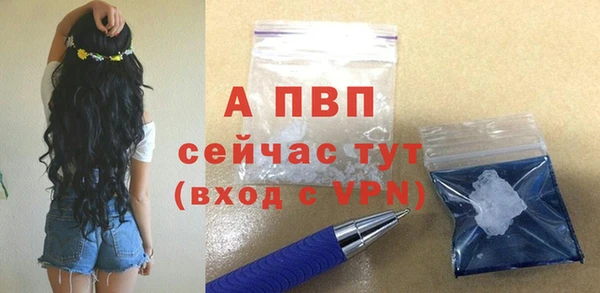 прущие грибы Красноперекопск