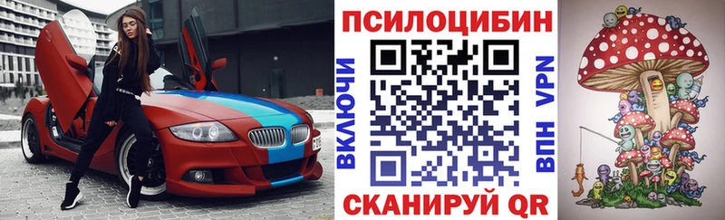 Купить закладки  Калининск  Псилоцибиновые грибы Cubensis 